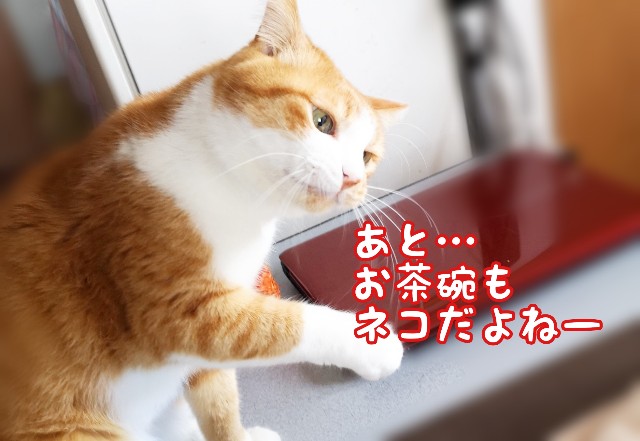 f:id:JuneNNN:20191126125535j:plain