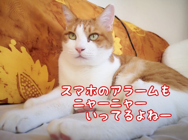 f:id:JuneNNN:20191126125543j:plain