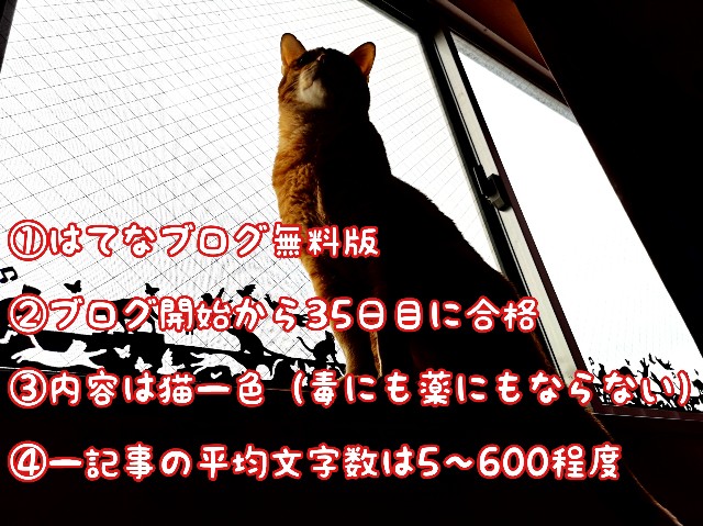 f:id:JuneNNN:20191128114738j:plain