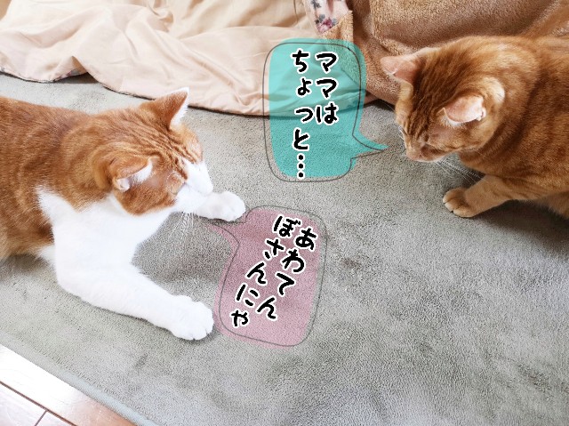 f:id:JuneNNN:20191203120814j:plain