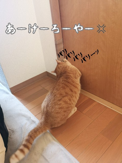 f:id:JuneNNN:20191203122720j:plain