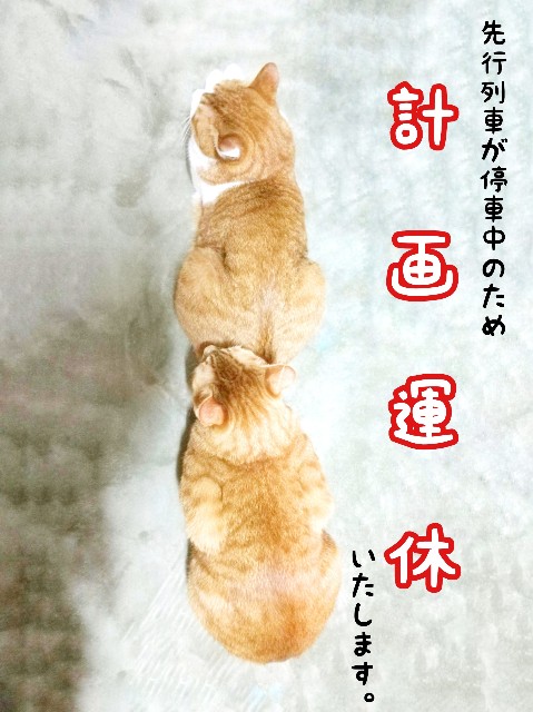 f:id:JuneNNN:20191204120257j:plain