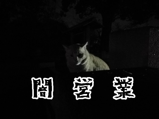 f:id:JuneNNN:20191204120303j:plain