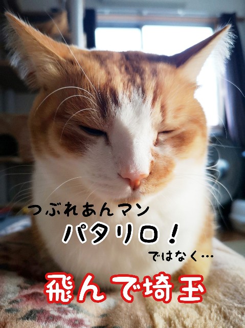 f:id:JuneNNN:20191204120309j:plain