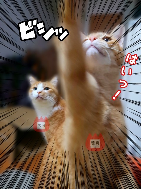 f:id:JuneNNN:20191206150204j:plain