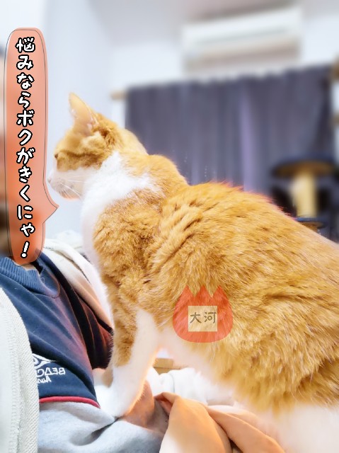 f:id:JuneNNN:20191206161645j:plain