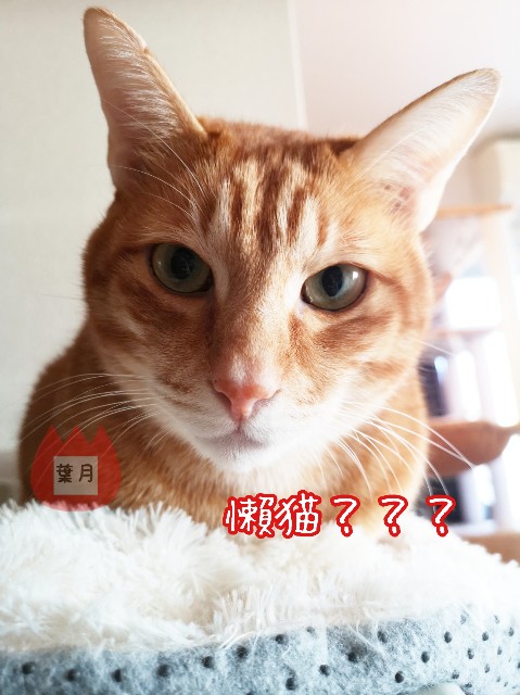 f:id:JuneNNN:20191209103346j:plain f:id:JuneNNN:20191209103346j:plain