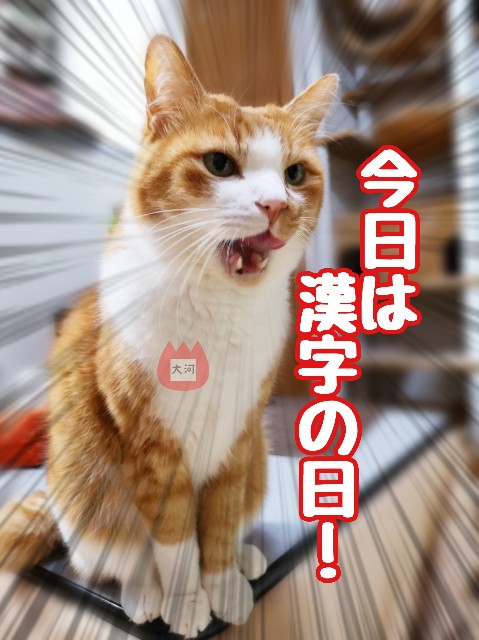 f:id:JuneNNN:20191211120518j:plain