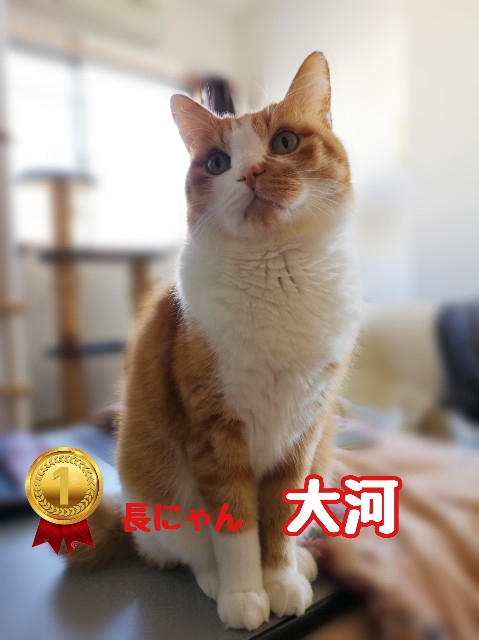 f:id:JuneNNN:20191211123726j:plain