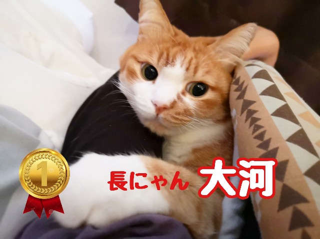 f:id:JuneNNN:20191211132754j:plain