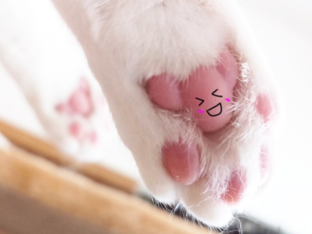 f:id:JuneNNN:20191214164841j:plain