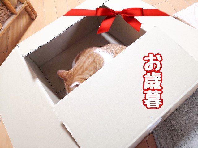 f:id:JuneNNN:20191215152312j:plain f:id:JuneNNN:20191215152312j:plain