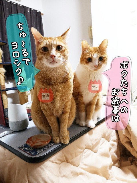 f:id:JuneNNN:20191215153033j:plain f:id:JuneNNN:20191215153033j:plain