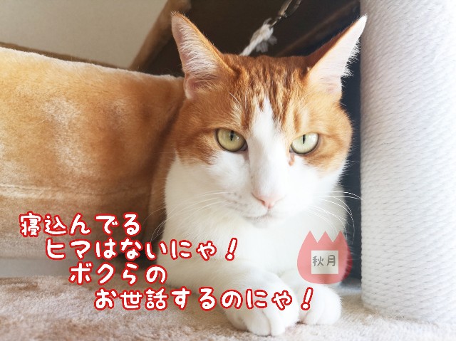 f:id:JuneNNN:20191217133452j:plain f:id:JuneNNN:20191217133452j:plain