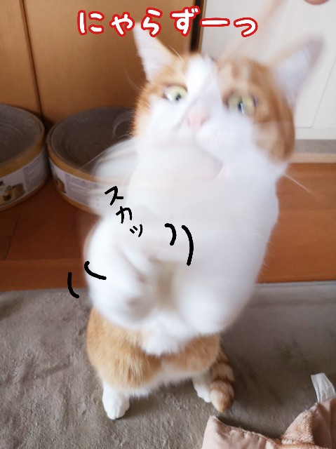 f:id:JuneNNN:20191218132557j:plain f:id:JuneNNN:20191218132557j:plain