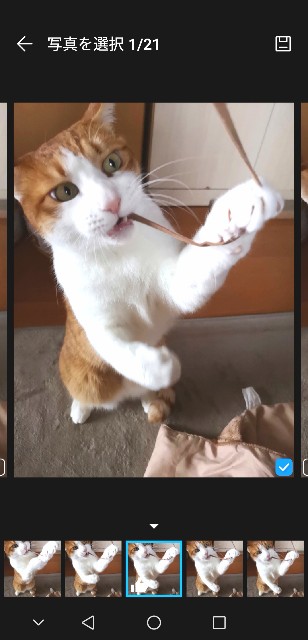 f:id:JuneNNN:20191218132836j:plain f:id:JuneNNN:20191218132836j:plain
