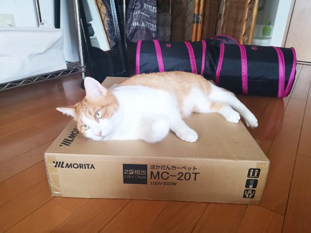 f:id:JuneNNN:20191218161418j:plain