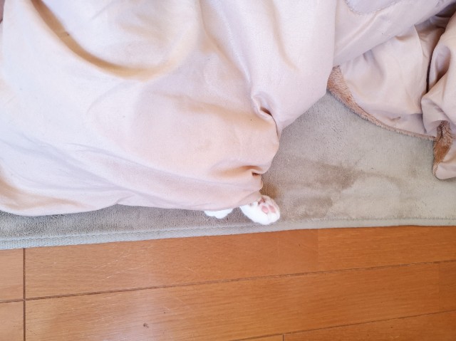 f:id:JuneNNN:20191220120021j:plain