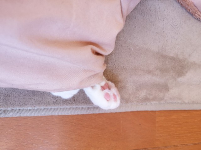 f:id:JuneNNN:20191220120027j:plain