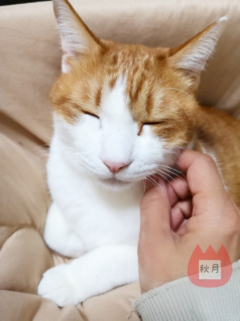 f:id:JuneNNN:20191223105934j:plain