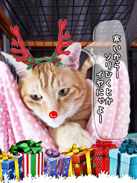 f:id:JuneNNN:20191223214750j:plain