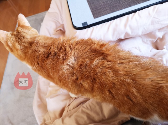 f:id:JuneNNN:20191229122116j:plain f:id:JuneNNN:20191229122116j:plain