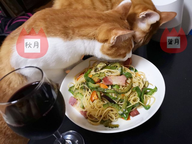 f:id:JuneNNN:20191229122129j:plain f:id:JuneNNN:20191229122129j:plain