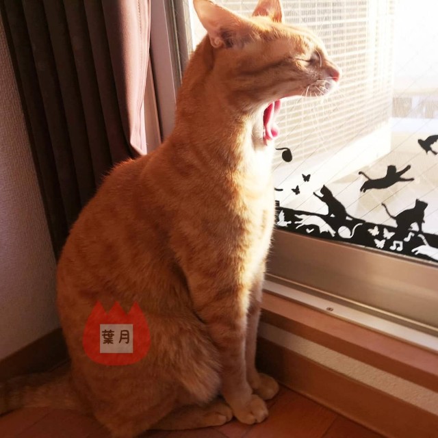 f:id:JuneNNN:20191229122136j:plain f:id:JuneNNN:20191229122136j:plain