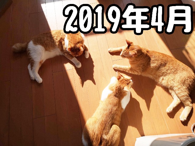 f:id:JuneNNN:20191229214859j:plain