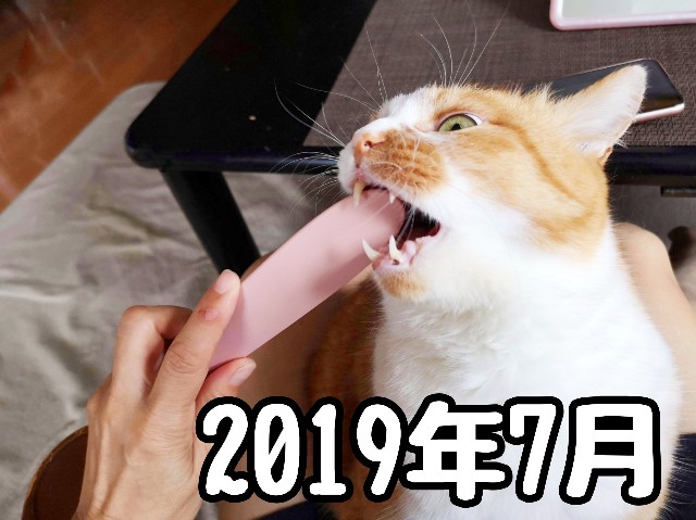 f:id:JuneNNN:20191229214914j:plain