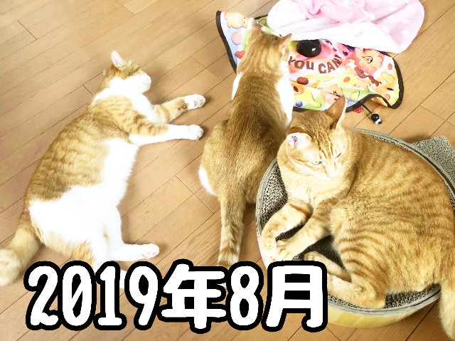 f:id:JuneNNN:20191229214917j:plain