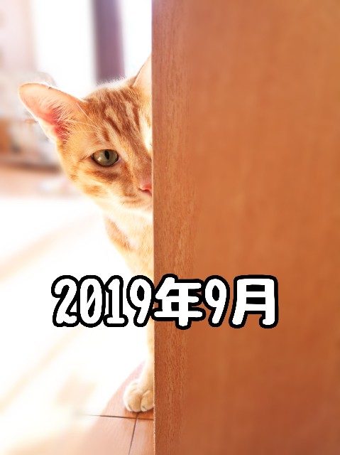 f:id:JuneNNN:20191229214921j:plain