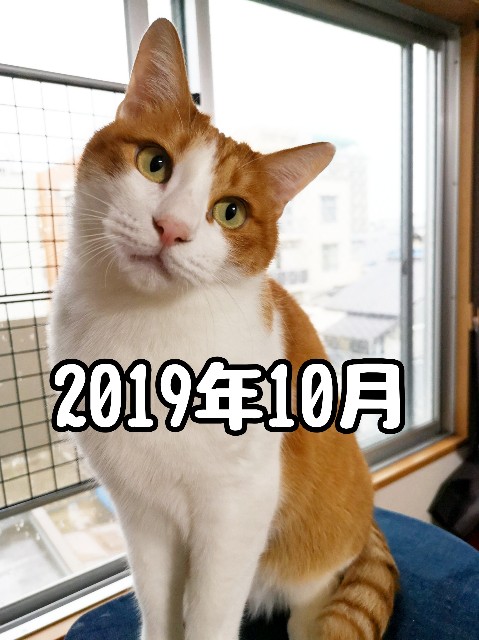 f:id:JuneNNN:20191229214924j:plain