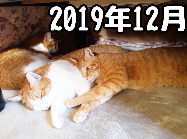 f:id:JuneNNN:20191229214932j:plain