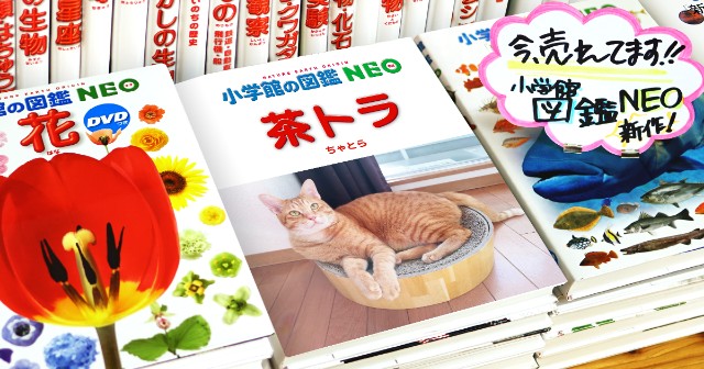 f:id:JuneNNN:20200108120535j:plain f:id:JuneNNN:20200108120535j:plain