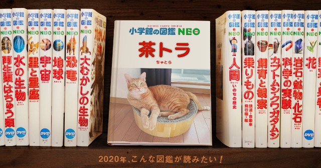 f:id:JuneNNN:20200108120542j:plain f:id:JuneNNN:20200108120542j:plain