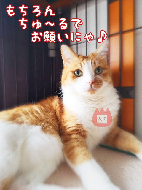 f:id:JuneNNN:20200118135601j:plain f:id:JuneNNN:20200118135601j:plain