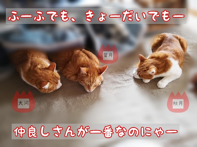 f:id:JuneNNN:20200123131831j:plain f:id:JuneNNN:20200123131831j:plain