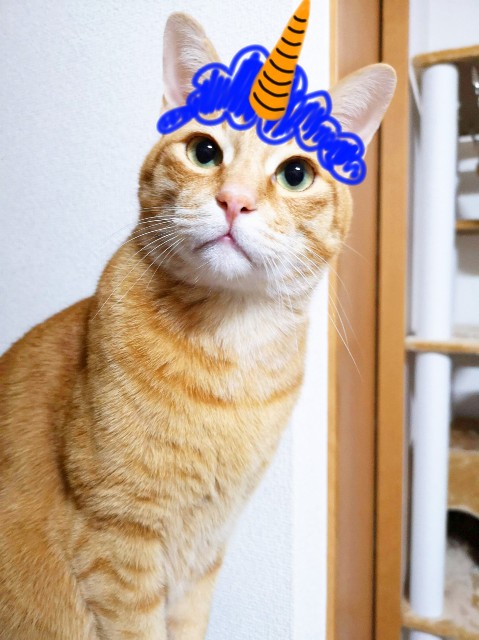 f:id:JuneNNN:20200203110543j:plain