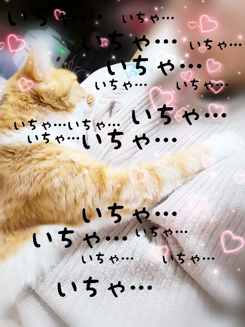 f:id:JuneNNN:20200205154845j:plain