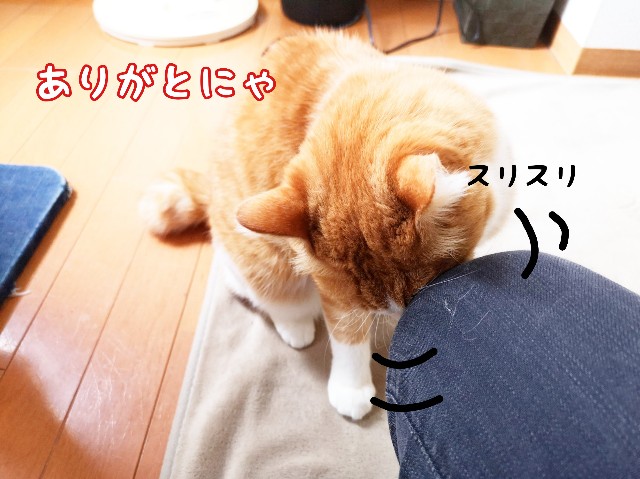 f:id:JuneNNN:20200214114637j:plain