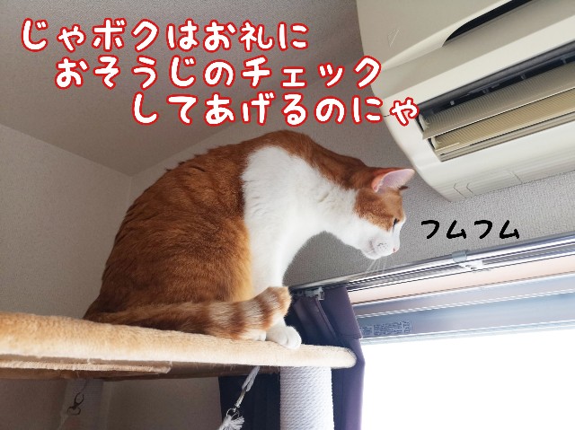 f:id:JuneNNN:20200214114650j:plain