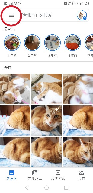 f:id:JuneNNN:20200216141313j:plain