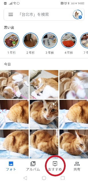 f:id:JuneNNN:20200216141352j:plain