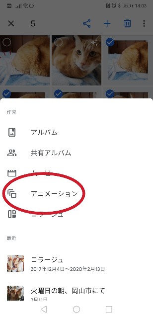 f:id:JuneNNN:20200216141719j:plain