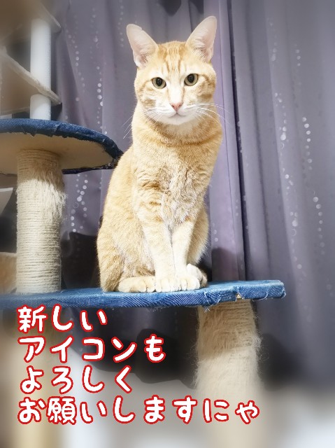 f:id:JuneNNN:20200223120026j:plain f:id:JuneNNN:20200223120026j:plain