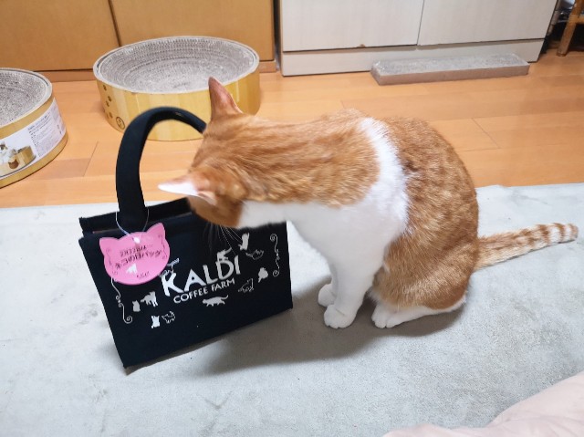 f:id:JuneNNN:20200224124001j:plain f:id:JuneNNN:20200224124001j:plain