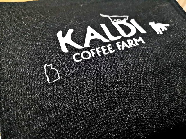 f:id:JuneNNN:20200224124014j:plain f:id:JuneNNN:20200224124014j:plain