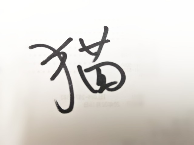 f:id:JuneNNN:20200227143814j:plain
