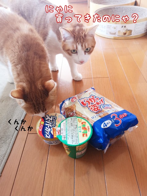 f:id:JuneNNN:20200302104031j:plain f:id:JuneNNN:20200302104031j:plain